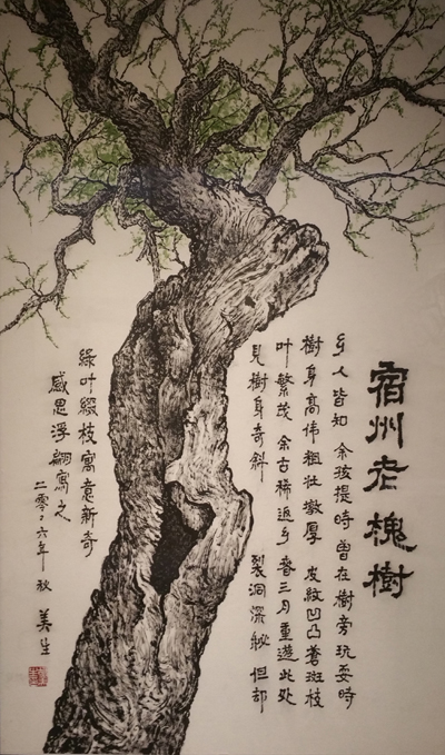 宿州老槐树·胡美生